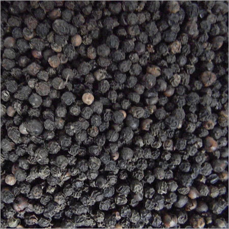 Black Pepper