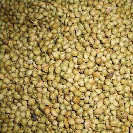 Coriander Seeds