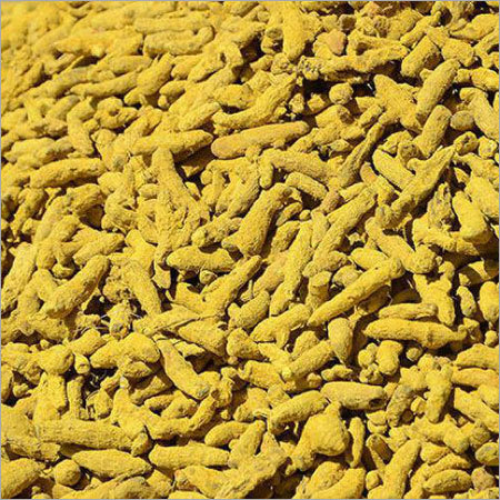 Turmeric