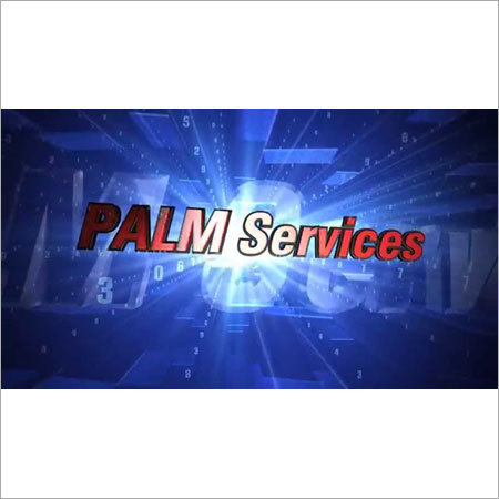 Palm Reading Services By SAI JYOTISH DARBAR