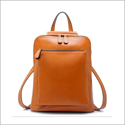 Leather Back Pack