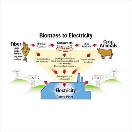 Biomass Electric Power Generation
