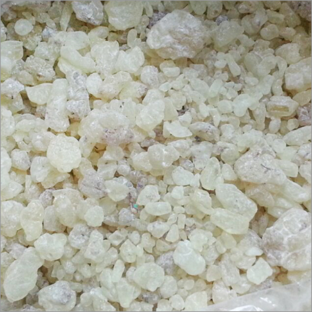 Gum Damar