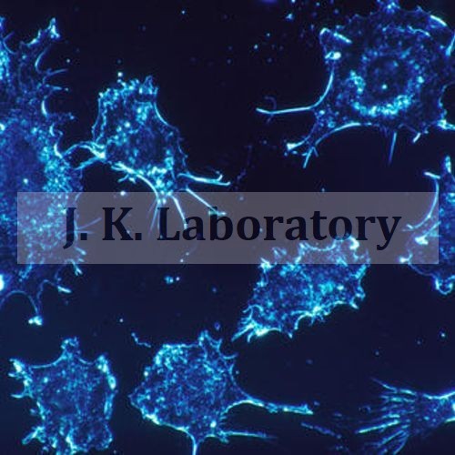 Chemical Intermediates Testing Services By J. K. ANALYTICAL LABORATORY & RESEARCH CENTRE