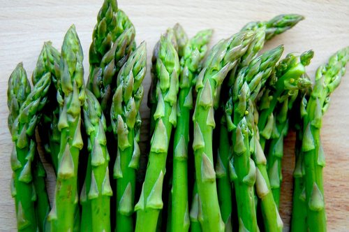 Asparagus Racemosus