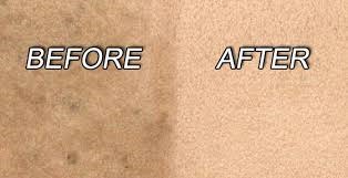 Carpet Shampoo / Floor Carpet Adhesive Remover