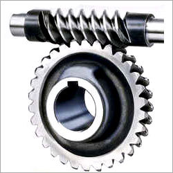 Worm Wheel Gear