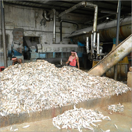 Fish Meal Oil Machinery
