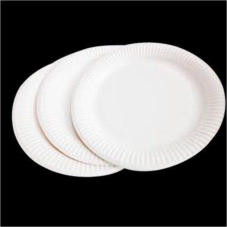 Paper Plate