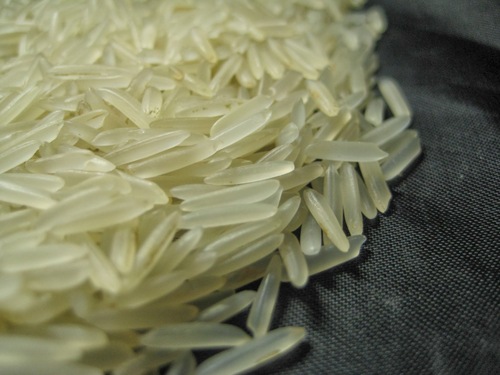 Rice