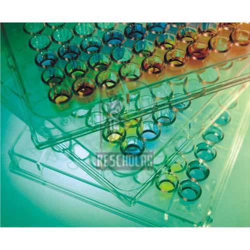 Sorting Tray - Plastic, Variable Dimensions, Clear | Organized Storage, Efficient Sorting, Sample Protection, Stackable Trays