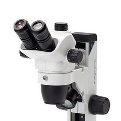 Stereo Microscope