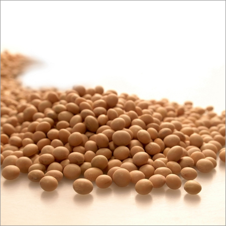Soybean Seeds