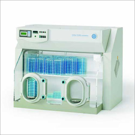 Microaerophilic Chamber