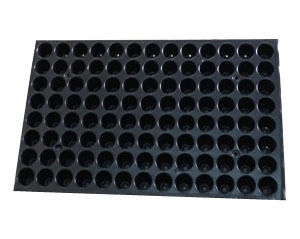 Seedling Tray