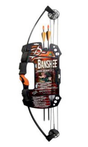 Team Realtree Banshee Quad For Professional Archery Trainers