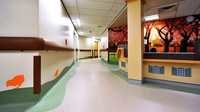 Ccil Poly Flooring - Pvc 2mm, 2m X 25m | Durable, Easy Clean, Slip Resistant, Water Resistant, Fire Class A, 10-year Warranty