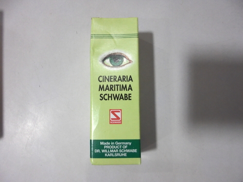 CINERARIA MARITIMA
