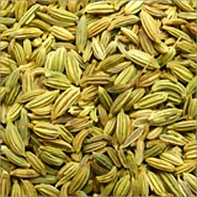 Fennel Seed