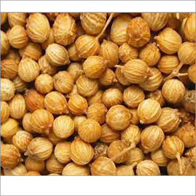 Coriander Seeds