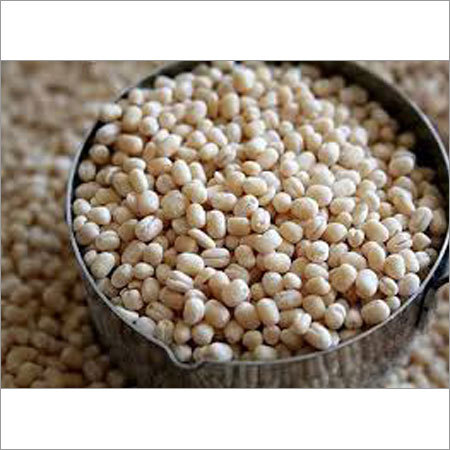 Whole Pulses