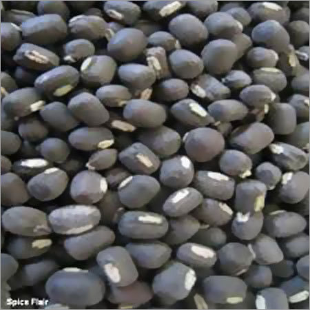 Indian Pulses