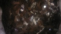 C.R.C. Dal Scrap