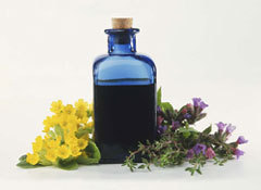 Mother Tinctures
