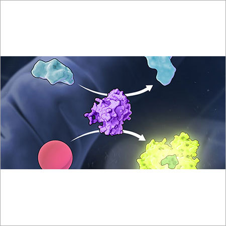 Cell Health Assays Grade: Chemical