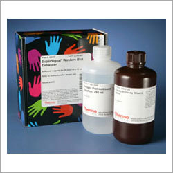 Supersignal Chemiluminescent Substrates Application: Industrial