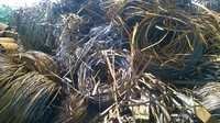 C.R /H.R Scrap