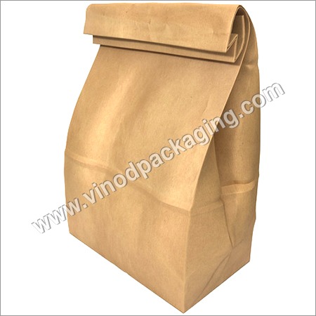 Brown Paper Bag - Medium Size, Brown Kraft Paper | Disposable, Moisture Proof, Recyclable, Flexiloop Handle, High Tear Resistivity
