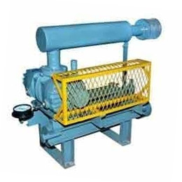 Compact Roots Blower