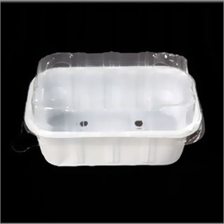 Strawberry Plastic Punnet