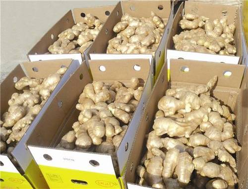 Fresh Ginger'S Root Packing Box