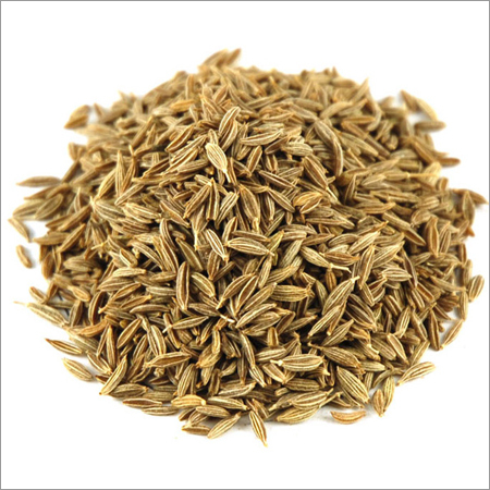 Cumin Seed