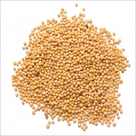 Cardamom