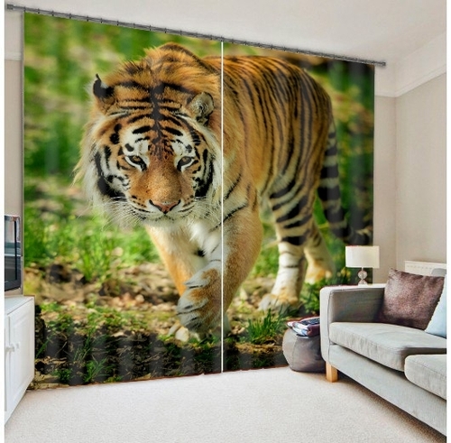 3D Curtains