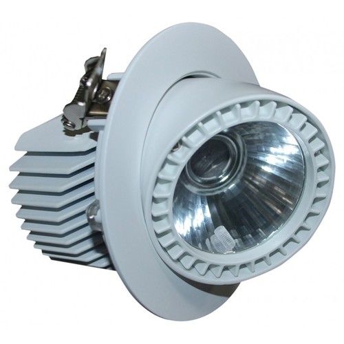 FortuneArrt 20 WATT LED COB Range LIght
