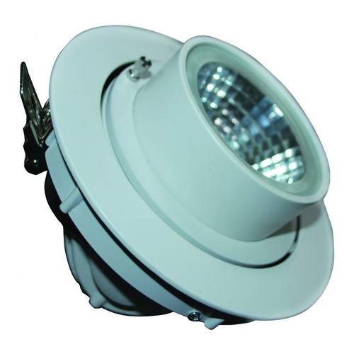 FortuneArrt 30 WATT LED COB Range Light