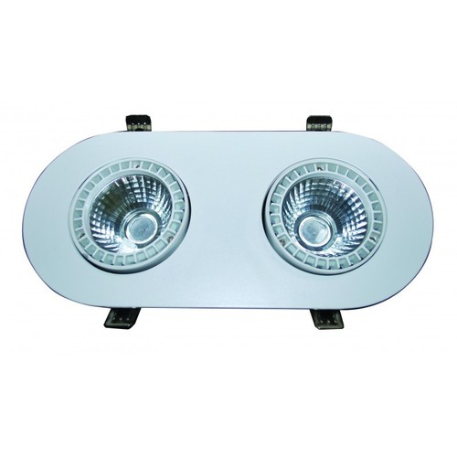 FortuneArrt 20 WATT LED COB Range Light