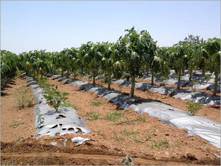Agro Shade Nets
