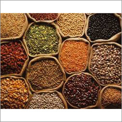 Indian Pulses