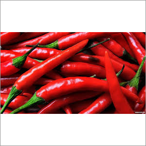 Red Chillies