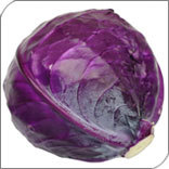 Red Cabbage