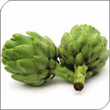 Artichoke Vegetable