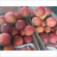Red Fresh Shimla Apple