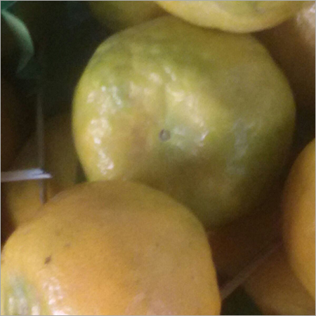Ripe Orange