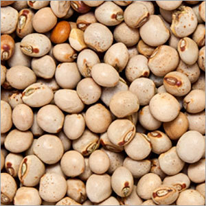 Pigeon Peas