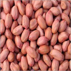 Fresh Groundnuts
